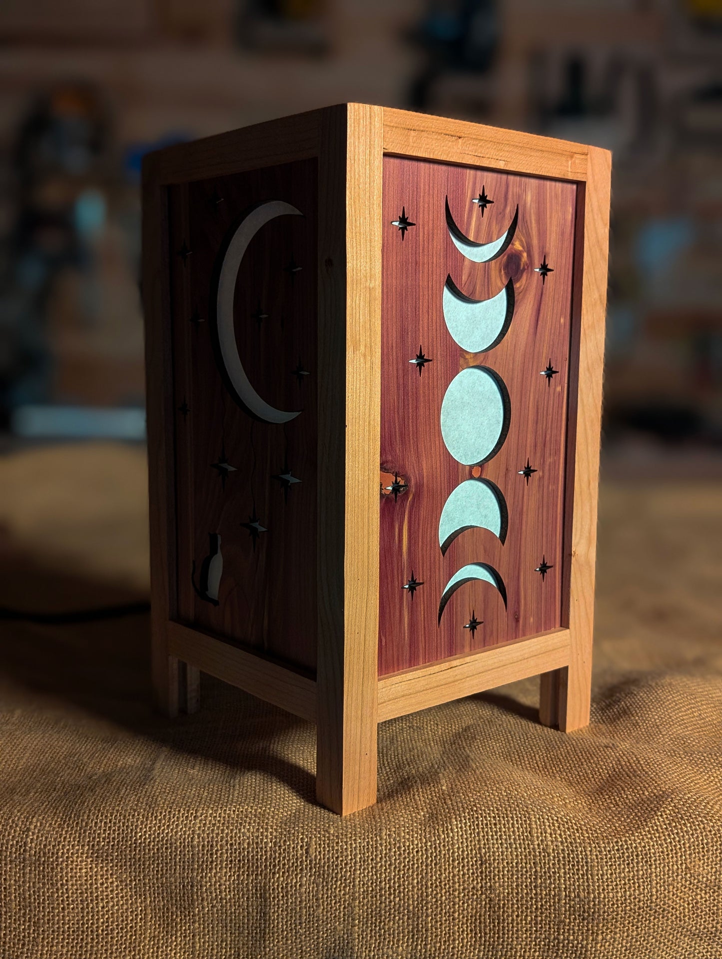 Cat and Moon Lamp
