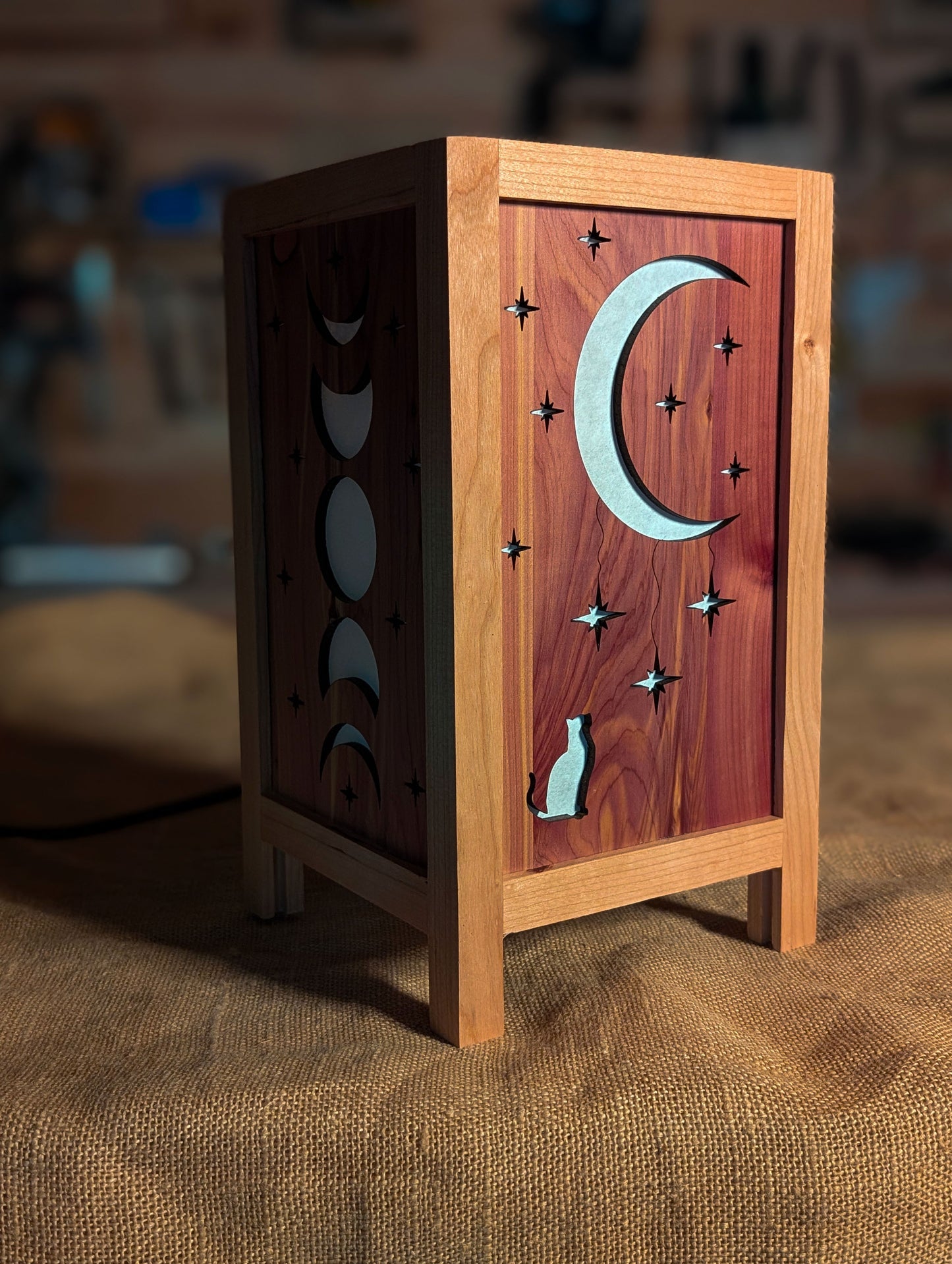 Cat and Moon Lamp